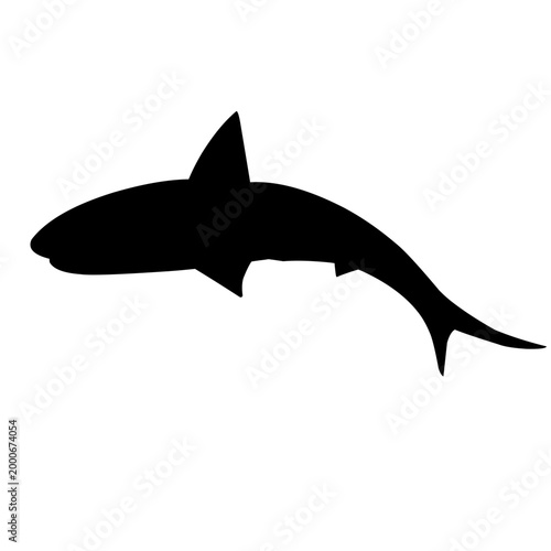 Hand Drawn Great White Shark Silhouette Ocean Life Doodle Illustration