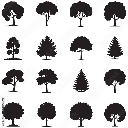 Schilderij op canvas Set of black tree silhouettes collection including various deciduous and evergre