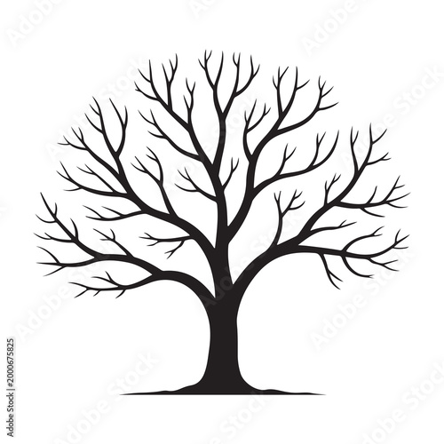 Black silhouette of a bare winter tree with no leaves and detailed branches
