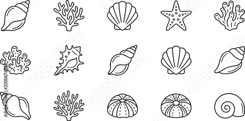 Fotografie seashell coral and starfish outline icon collection on transparent background