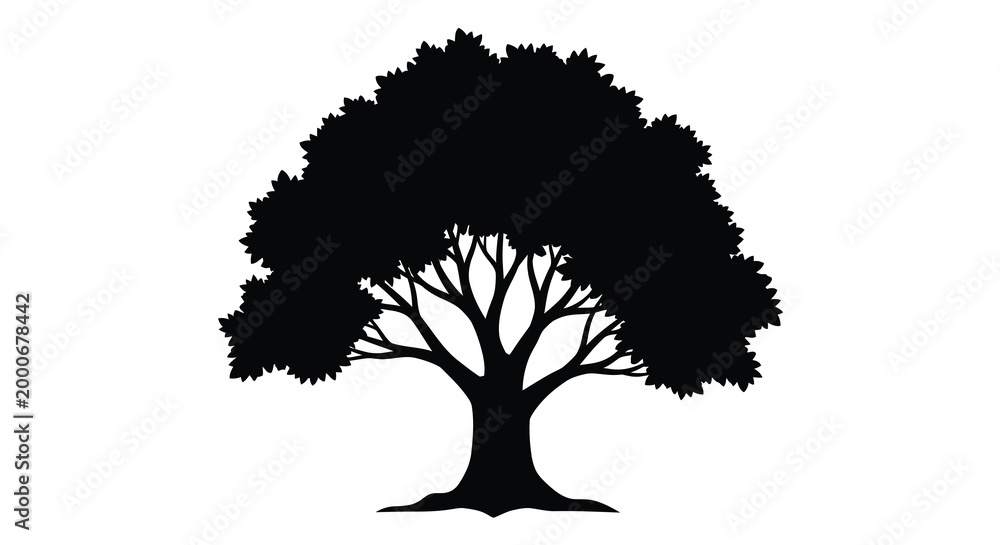 Fototapeta premium tree silhouette with detailed branches and leaves on white background high quality professional modern elegant stylish clean crisp vibrant colorful