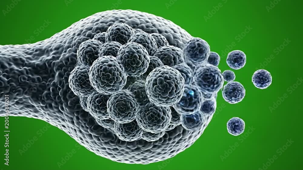 ZBrush Sculpted High Poly Render of Chlamydia Trachomatis Viewed Under ...