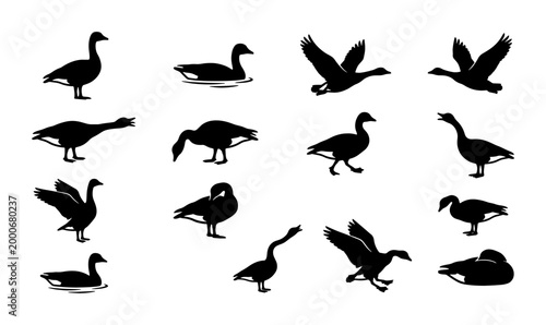 Quadro su tela Goose silhouette collection, 15 black wild bird vector icons, flying and standin