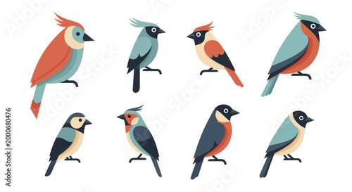 Collection of Diverse Bird Illustrations in Flat Design Style.