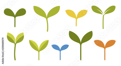 Collection of Diverse Seedling Sprouts in Various Colors and Stages.