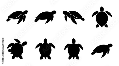 Photography Sea turtle silhouette collection, set of 8 marine reptile icons, black aquatic a