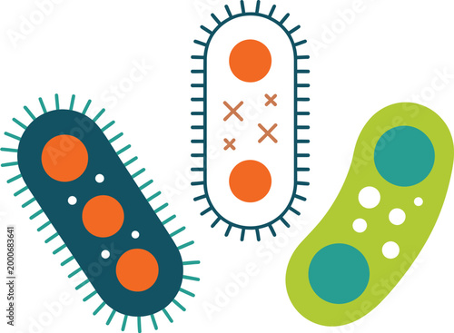 Stylized bacteria illustration set showing internal structures, flagella movement, microbiology concept on clean white background vector design