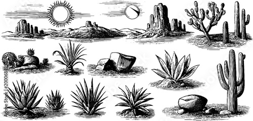 Vintage engraved desert landscape panorama with rock formations cacti agave and sun for retro scenic background and poster design