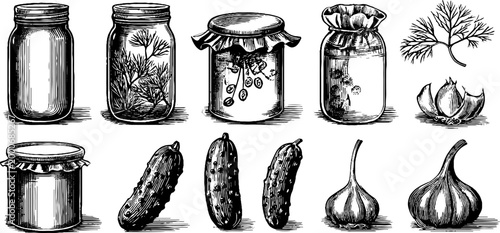 Vintage engraved clipart sheet of pickle jars cucumbers dill and garlic for kitchen label background and food packaging design