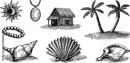 Vintage engraved surf shack and seashell collection background with palm trees and coastal signs for beach poster and coastal design