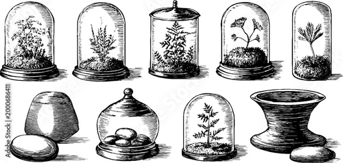 Vintage engraved terrarium and moss ball clipart sheet with glass domes and jars for botanical design and craft projects