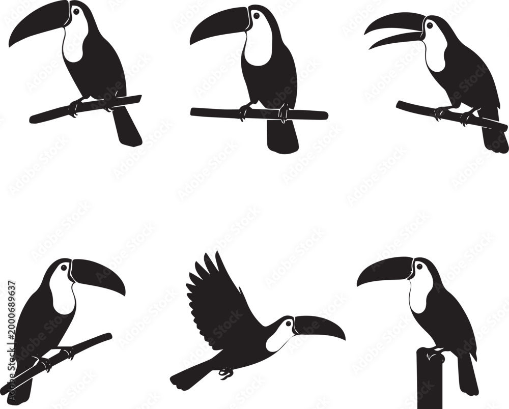 Obraz premium Toucan Silhouette Set – Tropical Bird Icons Collection, Exotic Toucan Perching and Flying Black Vector Illustration