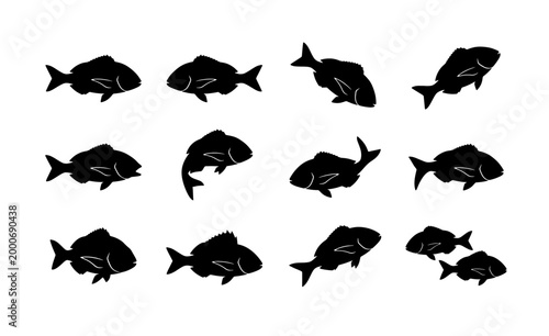 Foto Black fish silhouette set, sea bream and snapper icons, 12 vector aquatic animal