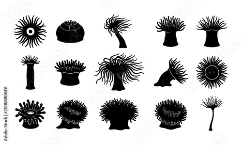Foto Sea anemone silhouette collection, 15 black marine life icons, aquatic polyp and