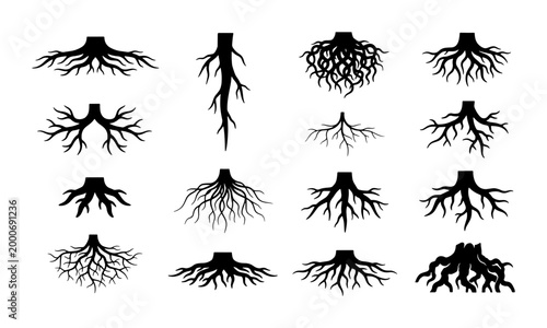 Photos Black tree root silhouettes set, 15 organic underground plant root systems, bota