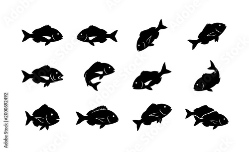 Foto Black fish silhouette vector set, 12 sea bream icons in various swimming poses,