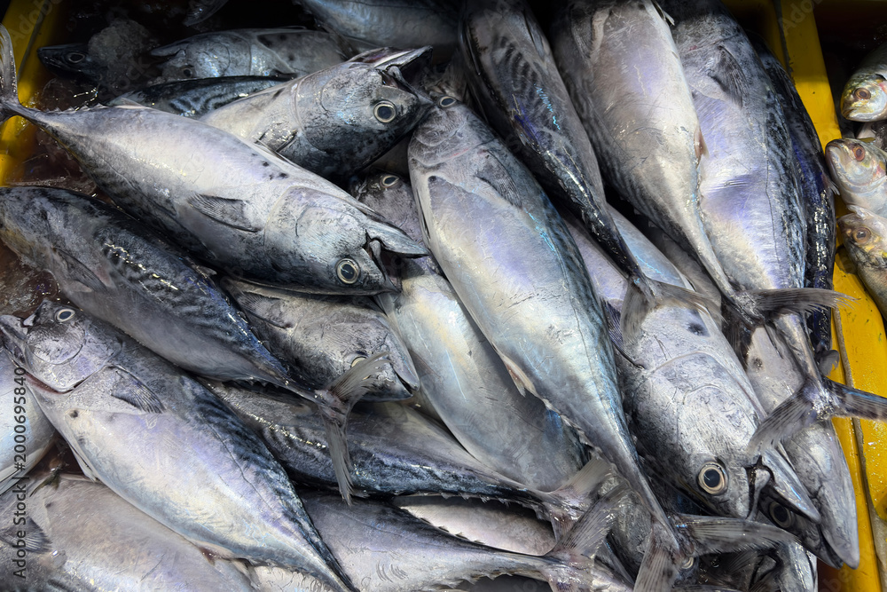 Obraz premium Fresh fish stacked together representing local fisheries, seafood supply, and ocean harvest.