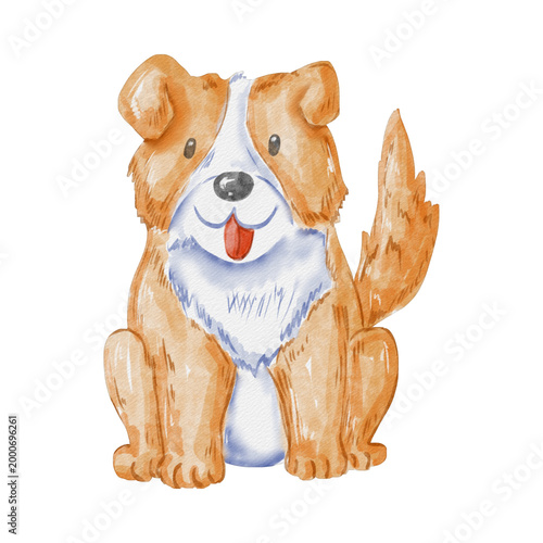 Watercolor Cute Brown and White Puppy Dog Illustration