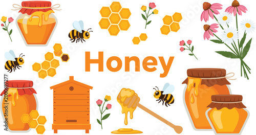 Honey Collection with Bee Jars Honeycomb Flowers Beehive and Dipper Sweet Natural Product Vector Set