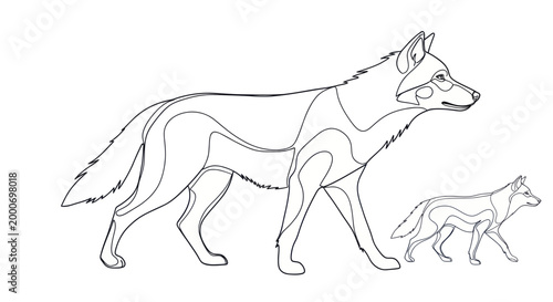 Adult and Young Wolf Line Art Illustration.