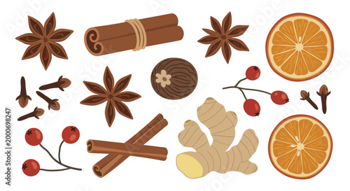 Aromatic Spices and Citrus Collection for Culinary and Decorative Purposes.