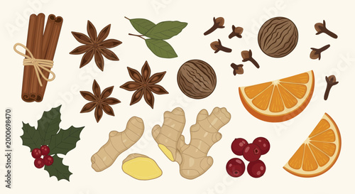 Aromatic Spices and Citrus for Festive Winter Beverages and Culinary Creations.