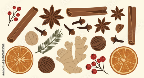 Aromatic Spices and Festive Winter Elements for Holiday Season.