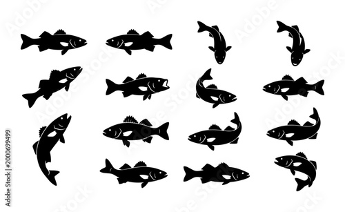 Foto Walleye fish silhouettes collection, 15 black zander icons in various swimming p