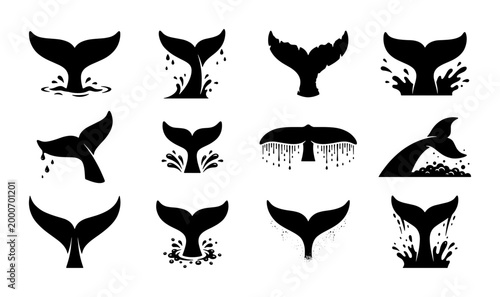 Quadro su tela Whale tail silhouette collection, 12 black fluke icons with water splashes, mari