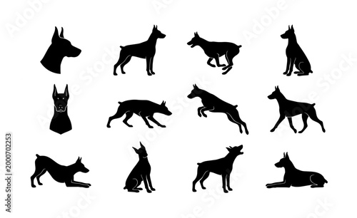 Bild auf Leinwand Doberman Pinscher silhouette collection, 12 black dog vector icons in various po
