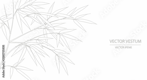 Minimalist outline drawing of bamboo branches and leaves, isolated white background.