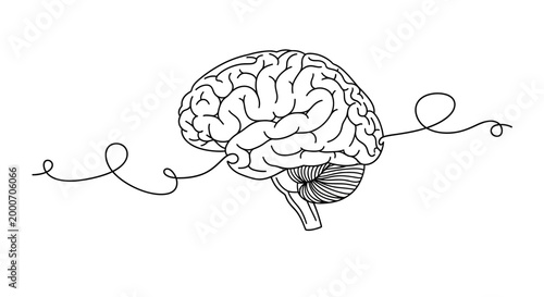 Elegant continuous line art illustration of a human brain with a swirling line representing thought process and creativity
