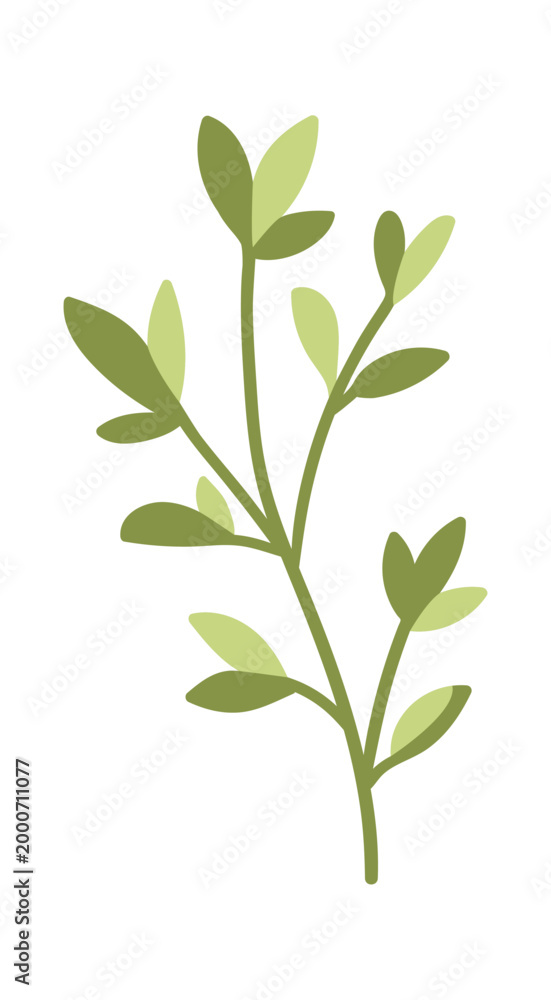 Obraz premium Leaf Branch Botanical Sprig Silhouette