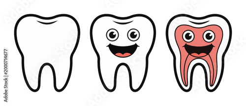 Set of tooth icons showing anatomy and healthy smile for dental care healthcare and hygiene education now.