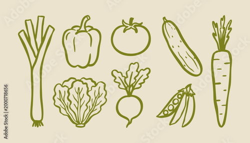 Hand drawn organic farm vegetable illustration set with leek, bell pepper, tomato, peas, cucumber and carrot, fresh veggies for vegan