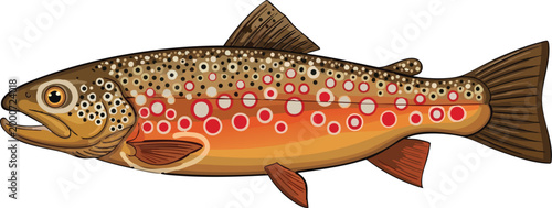 Illustration of a brown trout fish with distinctive red spots and a speckled body isolated on a white background salmo trutta freshwater fish aquatic animal river fish lake fish food fish