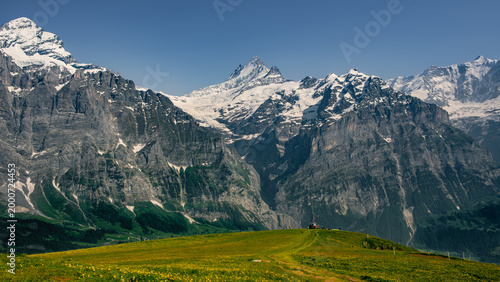 Vászonkép Alpine meadow with wildflowers, Eiger and Bernese Alps peaks, Grindelwald, Switz