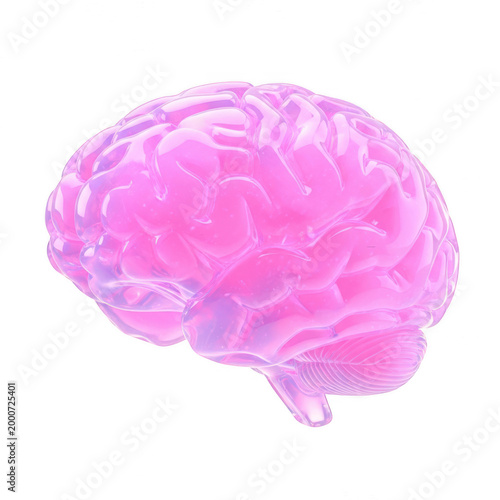 Pink translucent human brain illustration, glowing anatomical organ model, 3d render of human mind and intelligence concept isolated on white