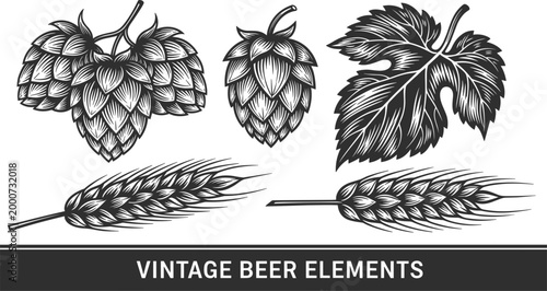 Vintage Beer Elements with Hops, Barley, and Leaves for Brewing and Craft Beer Designs