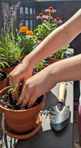 Gardener carefully plants a small green seedling into a terracotta pot while surrounded by blooming flowers on a sunny balcony.