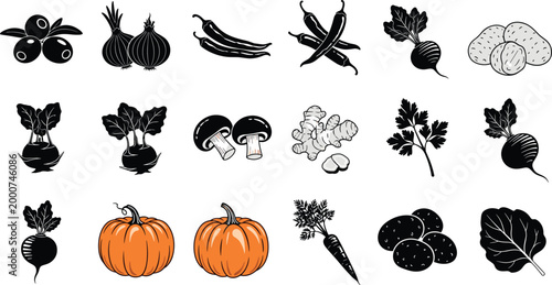Stylized illustration of assorted fruits, vegetables, and herbs including blueberries, onions, chili peppers, cauliflower, mushrooms, ginger, parsley, radishes, pumpkins, carrots