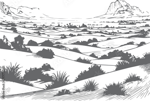 Desert landscape panorama, vector illustration. Line sketch.
