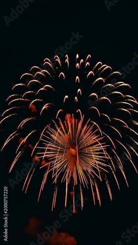 Spectacular Display of Colorful Fireworks Illuminating the Night Sky with Vibrant Patterns and Radiant Explosions to Celebrate Joyous Occasions and Create Lasting Memories