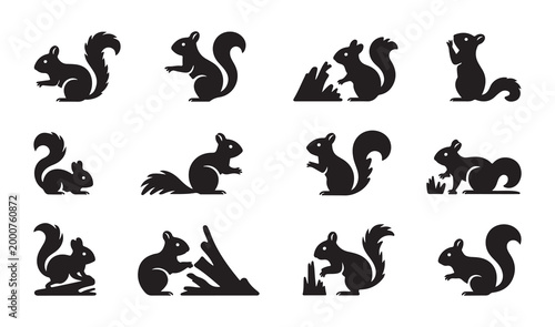 Wild squirrel silhouette set different actions forest rodent mammal silhouettes nature wildlife collection.