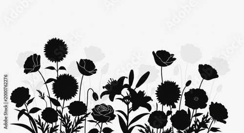 Silhouette of Various Flowers in Bloom Against White Background.