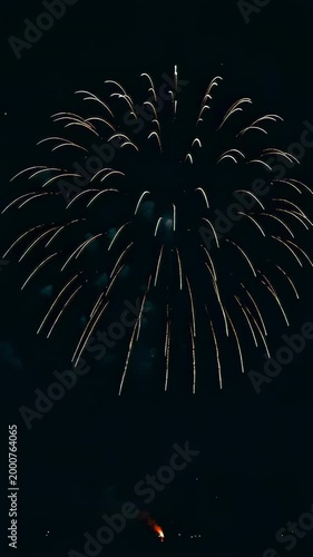 Spectacular Display of Colorful Fireworks Illuminating the Night Sky, Showcasing an Array of Bright Colors and Patterns in a Dazzling Pyrotechnic Performance