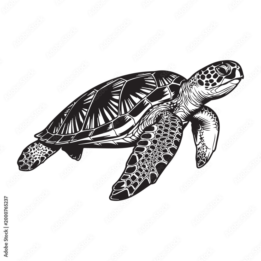 Obraz premium Sea turtle swimming in ocean