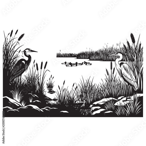 Heron standing in tall reeds by water