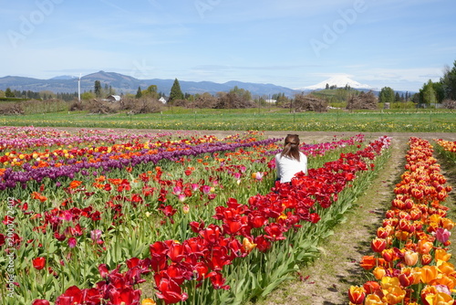 Photography Happy woman taking pictures in a colorful tulip field in full bloom, spring trav
