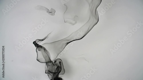 Abstract Black Ink Swirls Flowing Against White Background Soft Lighting Subtle Motion